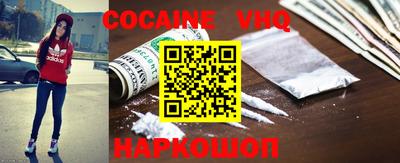 стафф Гатчина