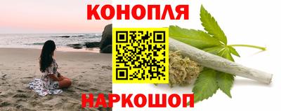 индика Гусев