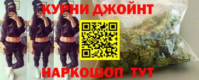 стафф Гатчина
