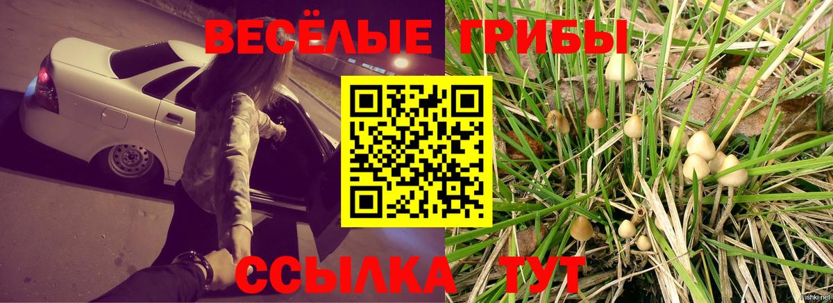 Галлюциногенные грибы Psilocybine cubensis  Вход с VPN  Псилоцибиновые грибы Psilocybe  Мценск 